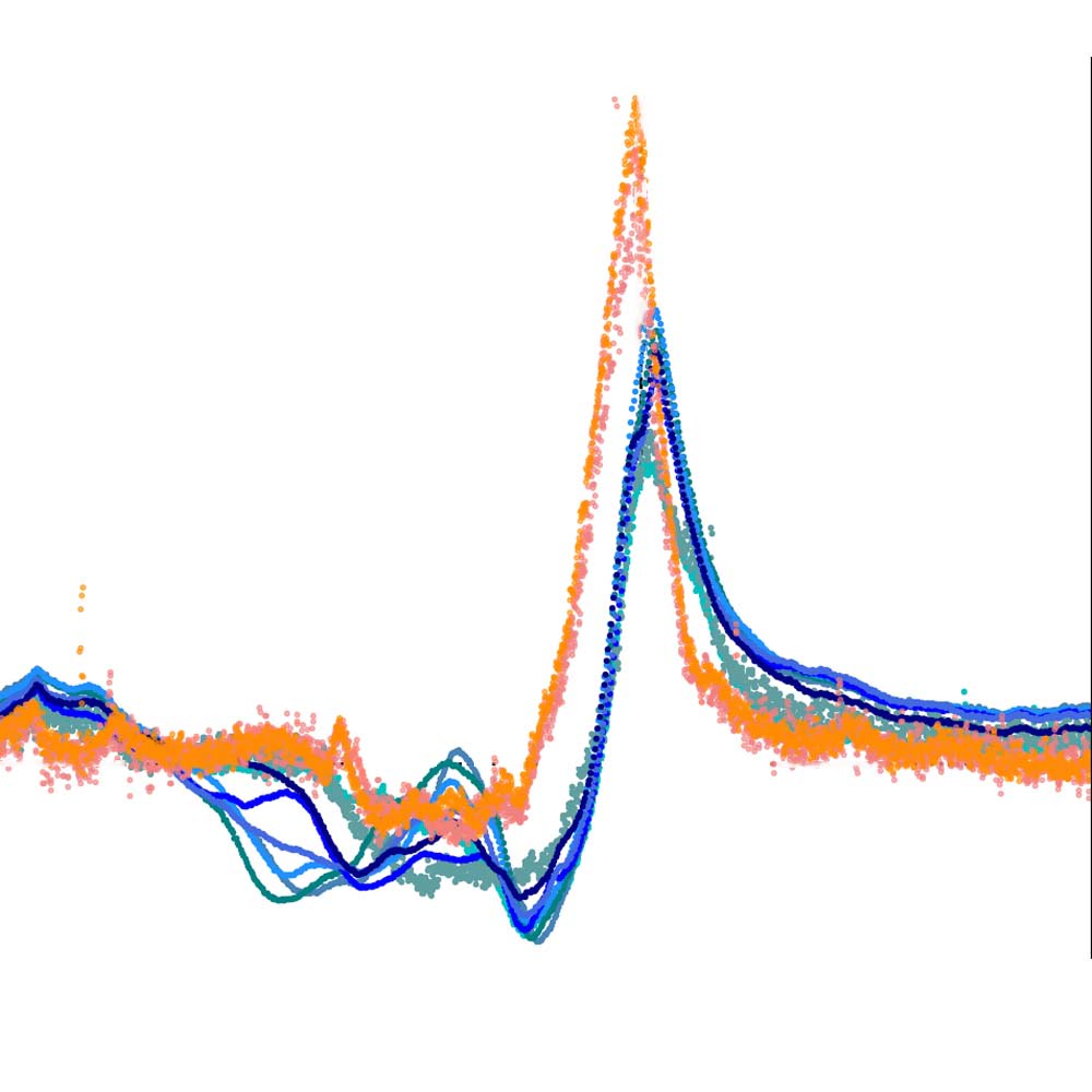 ReadingBetweenthelines AuroraPoster